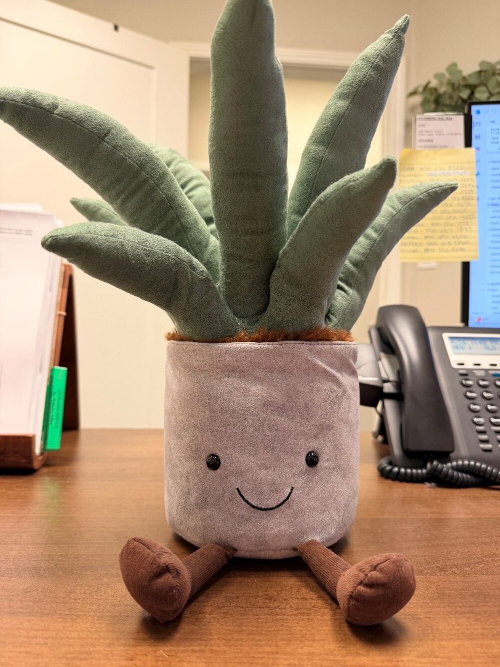 Jellycat RETIRED Amusable Aloe Vera Plush